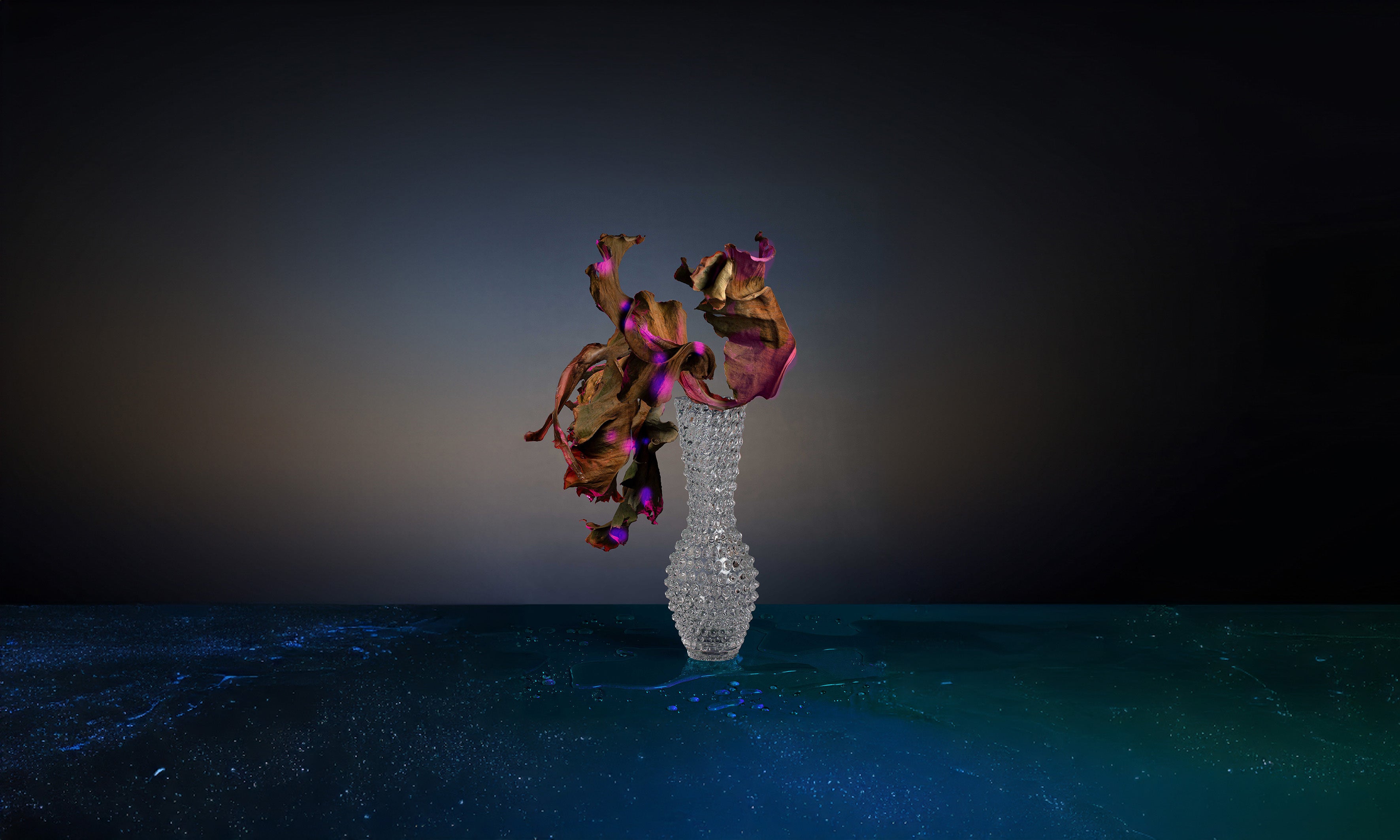 Klimchi Clear Hobnail Fugu Vase (premium packaging)